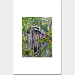 Greenfield Lake Bridge Posters and Art